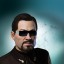 Paraveil's avatar