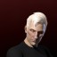 inv portrait