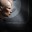 Charlotte de'Berry - EVE Online character
