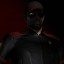 Vargo Flystalker's avatar