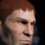 inv portrait