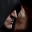 [Cardinal Faults]