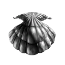 corp logo