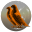 corp logo