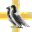 corp logo