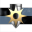 corp logo
