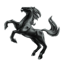 corp logo