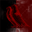corp logo