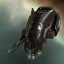 Incursus Aliastra Edition Incursus Aliastra Edition