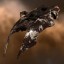 Coercer Blood Raiders Edition Coercer Blood Raiders Edition