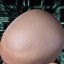 Chuck Sanussi Chuck Sanussi
