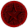 Red Star Of Luck
