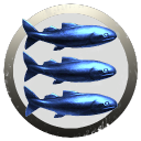 Blue Fish on a Plate Operations