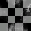 Organised Kaos