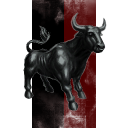 Black Bull Foundation