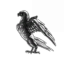 Aluetian Design
