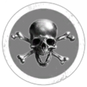 Skull -n- bones