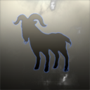 Shadow of a blue goat