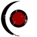 Red Moon Industries Inc.