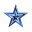 Blue Star Holdings