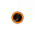 The Happy Orange Circle