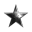 New Eden Information Services