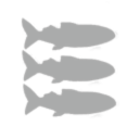 Abyrvalg Corporation