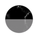 Steely Dan Arms Manufacturing Inc