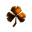 The sun flower that cannot die