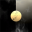 Coatis and a Moon