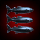 Titanic Swim Crew Inc.