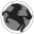 EveGuru Holdings