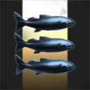 Trawlerman Solutions