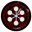 THE CONSCIOUS COCREATORS