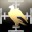 Frontline Dead Drop Logistics Frontline Dead Drop Logistics