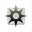 NightMoon Solid
