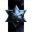 Northern Star Resources