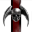 Ordo Cartographica