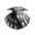 she she shells