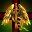 Void Revers