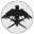 Republic Expeditionary Forces