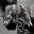 High silver wing