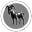 Infinite Stars Consortium