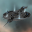 Landing Pad