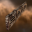 Blood Raider Fence
