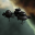 LCS (Gallente Station 8)