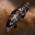 TestProphetBlood