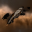 Amarr Freighter Wreck