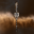 Amarr Starbase Control Tower Tough
