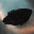 Sleeper Archive Terminal